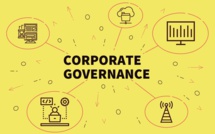 Digital Risk Management et Corporate governance