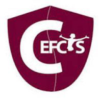 https://cefcysblog.wordpress.com/
